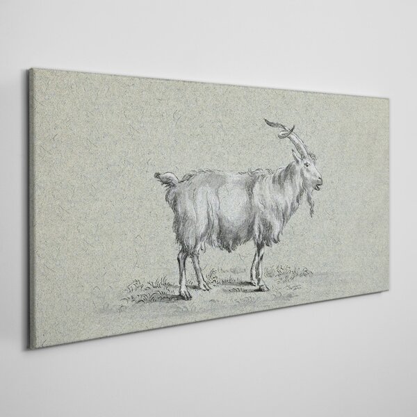 Obraz na plátně Obraz na plátně Moderní zvířecí koza