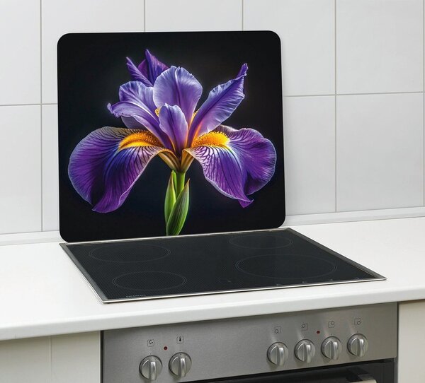 Kryt na zeď u sporáku z tvrzeného skla 50x56 cm Iris – Wenko