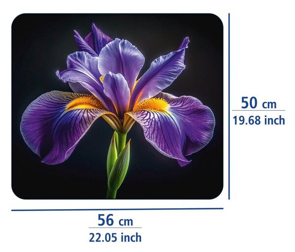 Kryt na zeď u sporáku z tvrzeného skla 50x56 cm Iris – Wenko