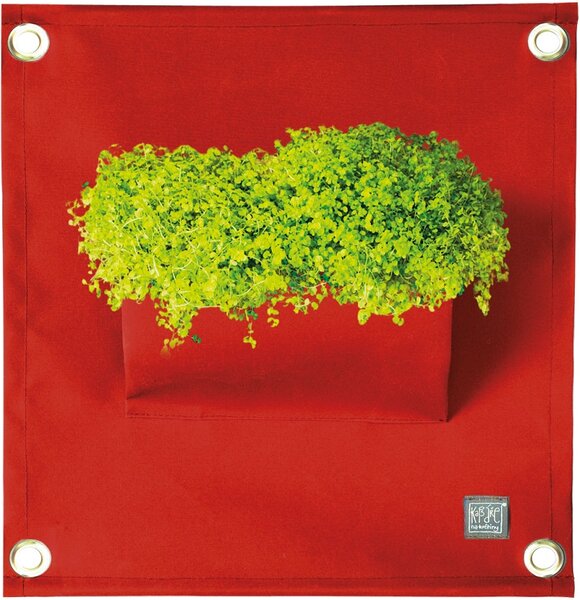 Blooming Walls s.r.o. Kapsář na rostliny THE GREEN POCKETS AMMA 50x45 cm, tmavě červená
