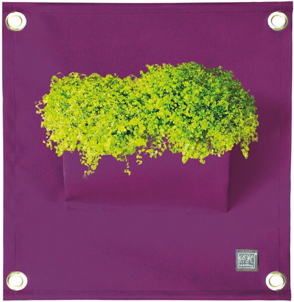 Blooming Walls s.r.o. Kapsář na rostliny THE GREEN POCKETS AMMA 50x45 cm, fialová