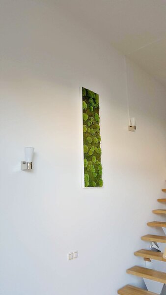 Mechový obraz 140x40 cm kombinovaný mech kopečkový s plochým, bílá