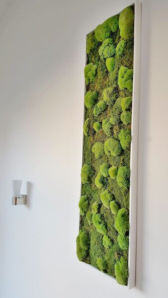 Mechový obraz 140x40 cm kombinovaný mech kopečkový s plochým, bílá