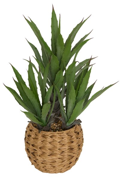 Umělá agáve MODA v pleteném květináči, v. 61 cm