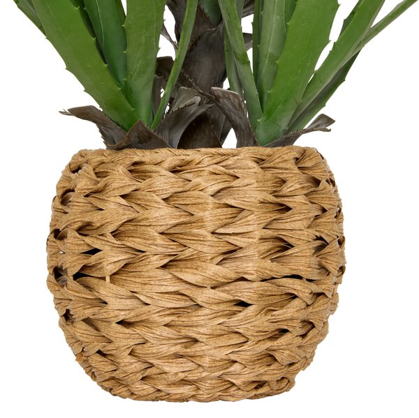 Umělá agáve MODA v pleteném květináči, v. 61 cm