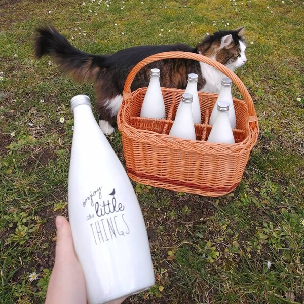 Skleněná láhev s víčkem - 27 cm