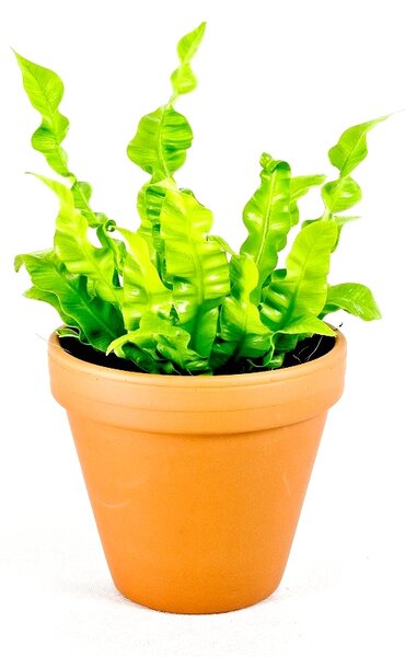 Keramický květináč KLASIK 26 cm, terakota