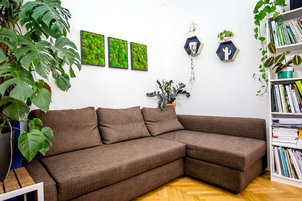 Set 3 mechových obrazů 30x40 kombinovaný mech kopečkový s plochým, bílá +