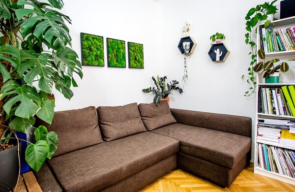 Set 3 mechových obrazů 35x35 kombinovaný mech kopečkový s plochým, přírodní +