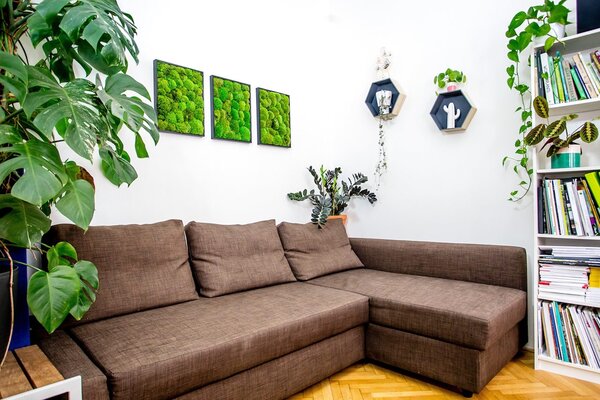 Set 3 mechových obrazů 50x50 z kopečkového mechu, černá +