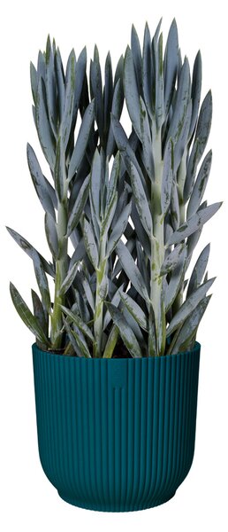 Obal Vibes Fold 18 cm, modrá
