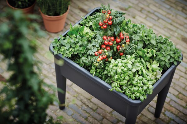 Horní díl k pěstebnímu stolu Green Basics Grow House XXL