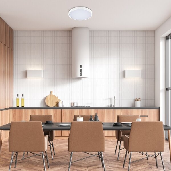 Rabalux 71428-LED Stm. koup. stropní svítidlo ALENZO LED/24W/230V IP44 bílá + DO