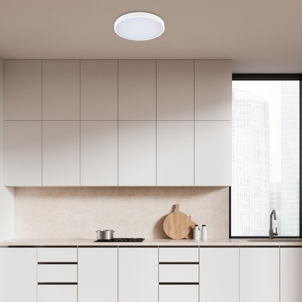 Rabalux 71427 - LED Koupelnové stropní svítidlo ALENZO LED/24W/230V IP44 bílá