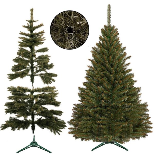 Vánoční stromek Smrk kavkazský 150 cm