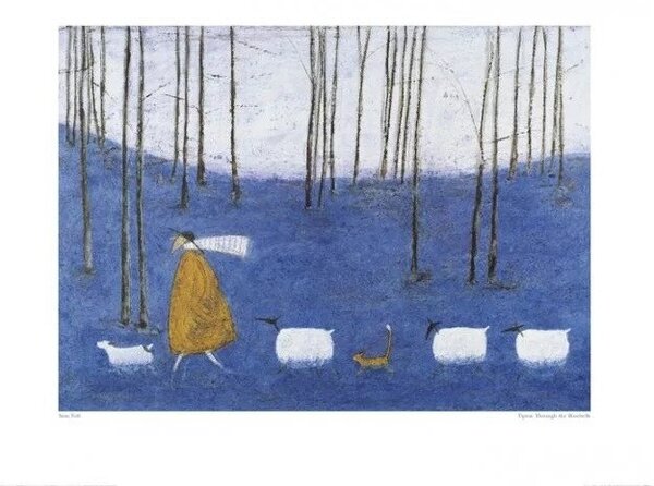 Umělecký tisk Sam Toft - Tiptoe Through The Bluebells, (50 x 40 cm)