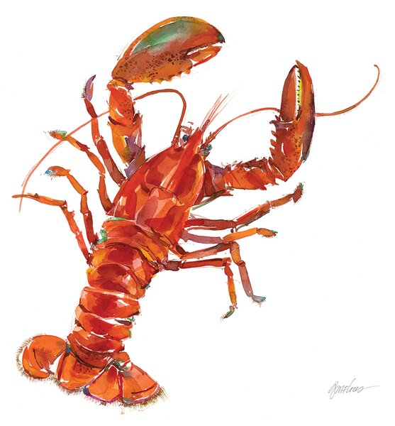 Sada papírových ubrousků Bar Harbor, 40 dílů