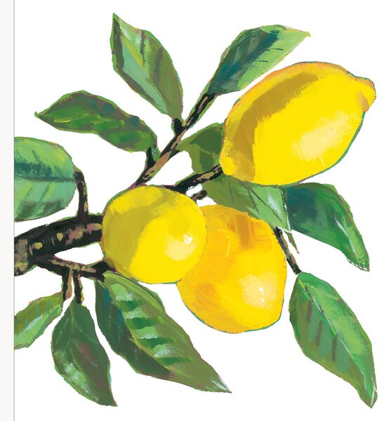 Sada papírových ubrousků Lemon Musée, 40 dílů