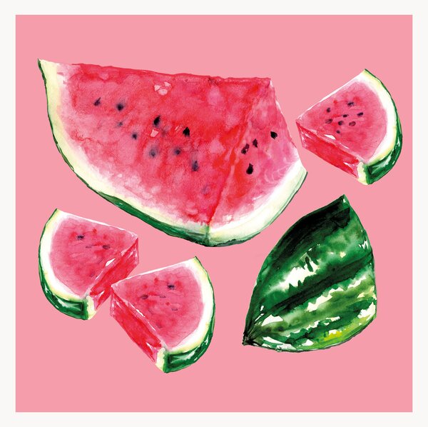 Sada papírových ubrousků Melon, 40 dílů