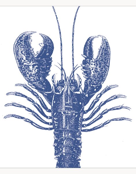 Sada papírových ubrousků Lobster, 40 dílů
