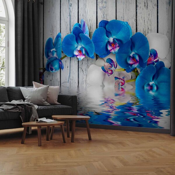 Fototapeta Kobaltová orchidej - květinový motiv s vodou a dřevěnými prvky