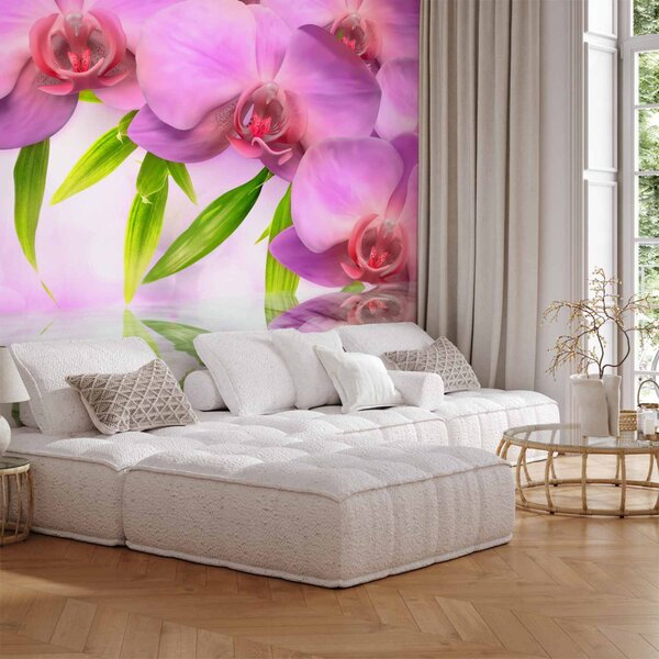 Fototapeta Orchideje v barvě lila