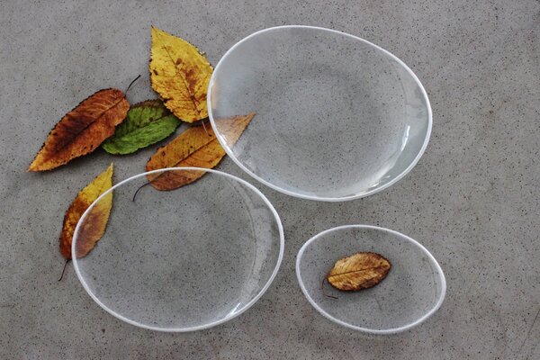 BDK-GLASS Skleněný oválný talíř OVAL ELLA čirý se stříbrným okrajem Rozměr: 20x14cm
