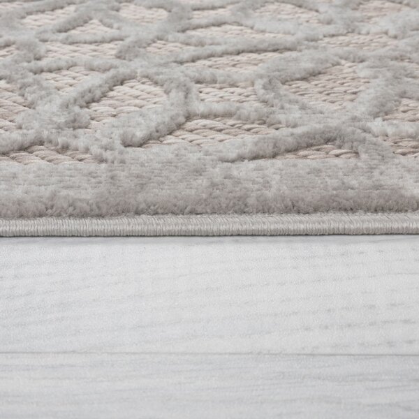 Flair Rugs, Kusový koberec Piatto Argento Silver – na ven i na doma, 80x150, šedá, chodba / předsíň