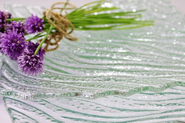 BDK-GLASS Čtvercové skleněné talíře NATURE SEA Rozměr: 20x20cm