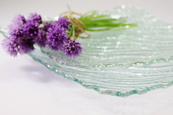 BDK-GLASS Čtvercové skleněné talíře NATURE SEA Rozměr: 20x20cm