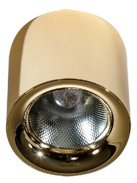 Azzardo AZ4326 stropní svítidlo bodové MANE 20W DIMM GO