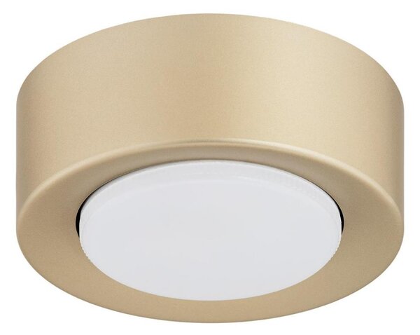Argon 8903 - Stropní svítidlo ELORA 1xGX53/7W/230V pr. 11 cm zlatá