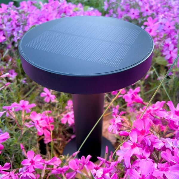 Zuma Line DT33611 - LED Solární lampa CARLI LED/2W/2000 mAh IP44 černá