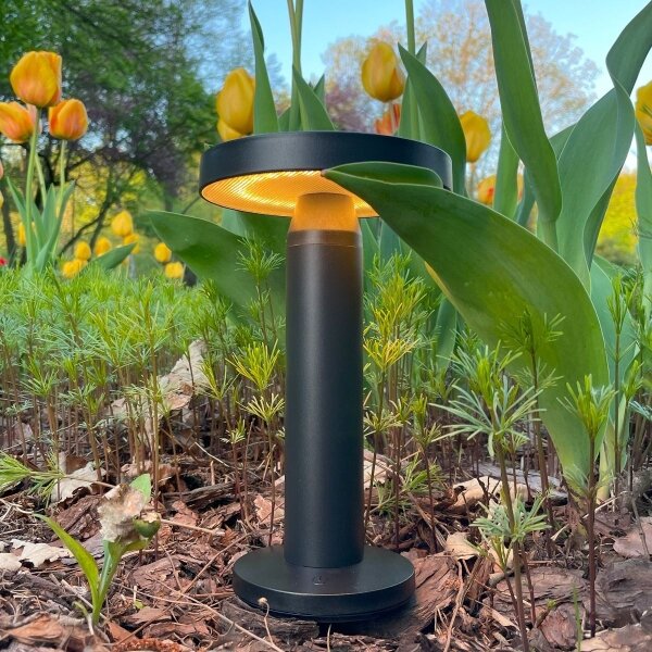 Zuma Line DT33611 - LED Solární lampa CARLI LED/2W/2000 mAh IP44 černá