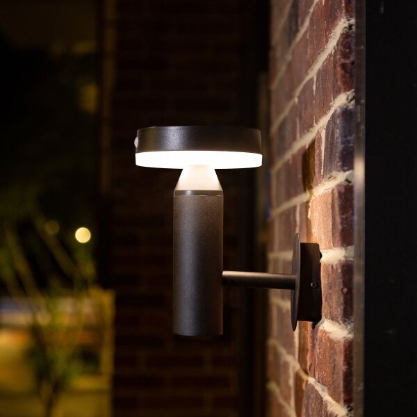 Zuma Line WT33611 - LED Solární nástěnná lampa CARLI LED/4,5W/2000mAh IP44 černá