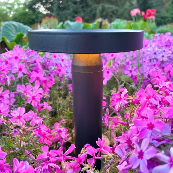 Zuma Line DT33611 - LED Solární lampa CARLI LED/2W/2000 mAh IP44 černá