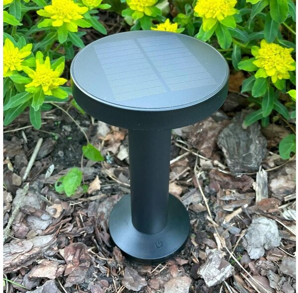 Zuma Line DT33611 - LED Solární lampa CARLI LED/2W/2000 mAh IP44 černá