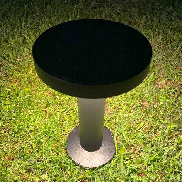 Zuma Line DT33611 - LED Solární lampa CARLI LED/2W/2000 mAh IP44 černá