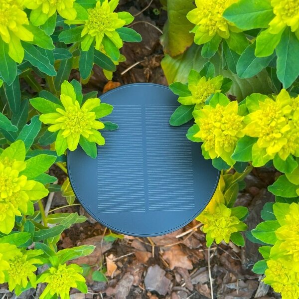 Zuma Line DT33611 - LED Solární lampa CARLI LED/2W/2000 mAh IP44 černá