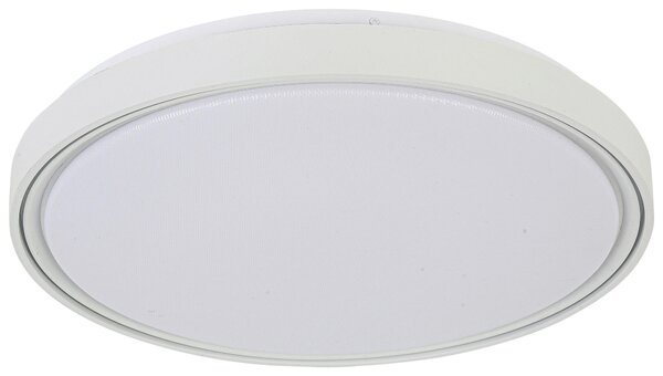 STROPNÍ SVÍTIDLO, 48/8 cm Novel - Online Only svítidla, Online Only