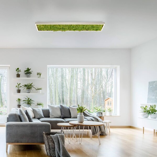 JUST LIGHT. GmbH LED stropní světlo Green Knut s pravým mechem, stmívatelný, Zelená, Obývací pokoj / jídelna, Moderní
