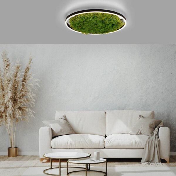 JUST LIGHT. GmbH LED stropní svítidlo Green Ritus, mechové stmívatelné Ø58,5cm, stmívatelný, Zelená, Obývací pokoj / jídelna, Moderní