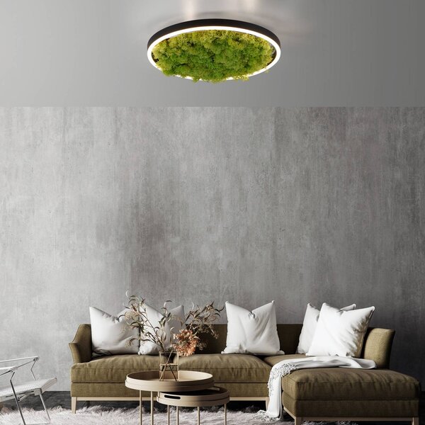 JUST LIGHT. GmbH LED stropní svítidlo Green Ritus, mechové stmívatelné Ø39,3cm, stmívatelný, Zelená, Obývací pokoj / jídelna, Moderní