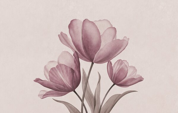 Fototapeta Elegantní tulipány v jemných pastelových odstínech, Květinové fototapety, Populární fototapety, t00762v2 - Tapeko.co.cz