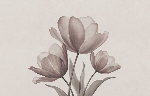 Fototapeta Elegantní tulipány v jemných pastelových odstínech, Květinové fototapety, Populární fototapety, t00762v3 - Tapeko.co.cz