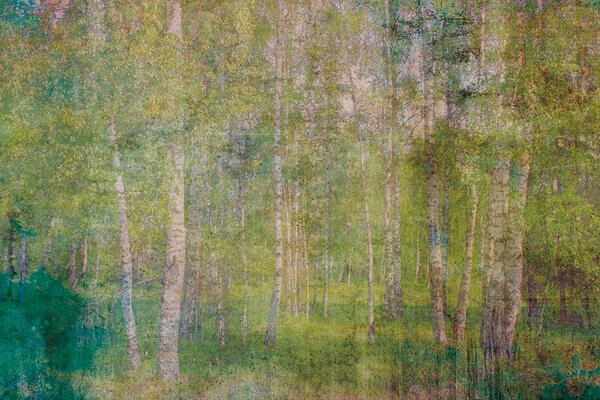 DIMEX | Vliesová fototapeta Abstrakt listy MS-5-0351 | 375 x 250 cm| zelená, žlutá