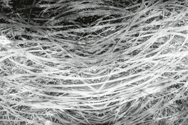 DIMEX | Vliesová fototapeta Abstrakt seno II. MS-5-0382 | 375 x 250 cm| šedá, bílá, černá