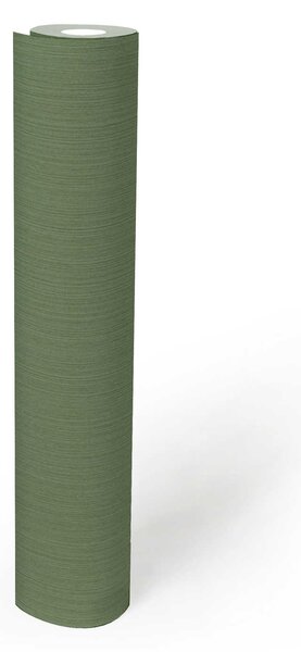 A.S. Création | Vliesová tapeta na zeď Michalsky 4 37987-5 | 0,53 x 10,05 m | zelená