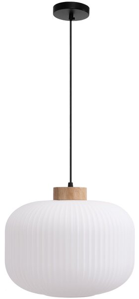 Toolight Toolight, stropní svítidlo ze skla 1xE27, bílá, OSW-04412