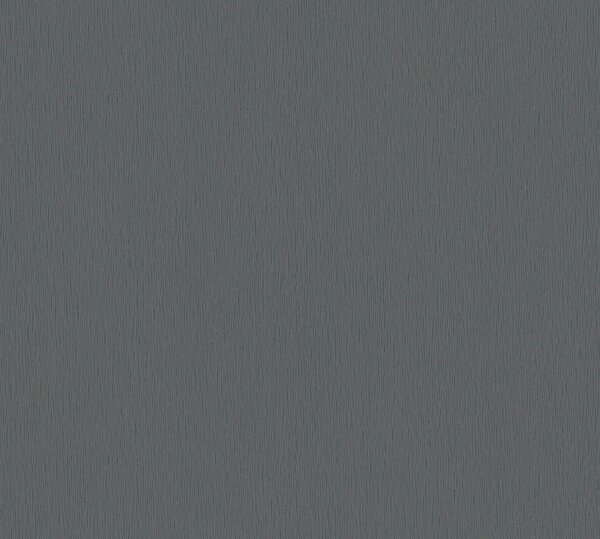 A.S. Création | Vliesová tapeta na zeď Trendwall 2 37973-3 | 0,53 x 10,05 m | černá, šedá